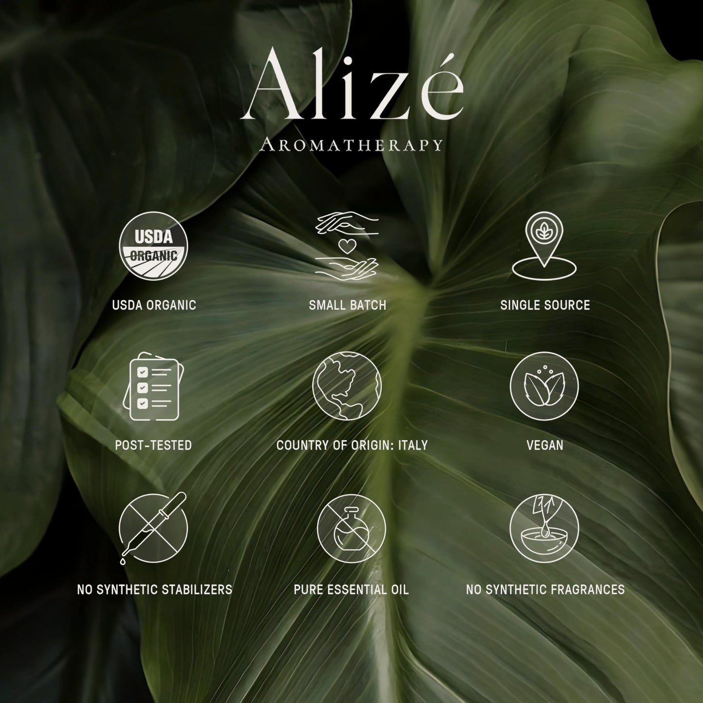 Alizé Bergamot Essential Oil – USDA Organic, 100% Pure & Natural, 10ml