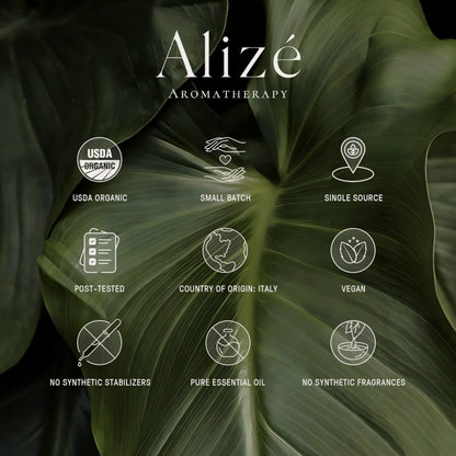 Alizé Bergamot Essential Oil – USDA Organic, 100% Pure & Natural, 10ml