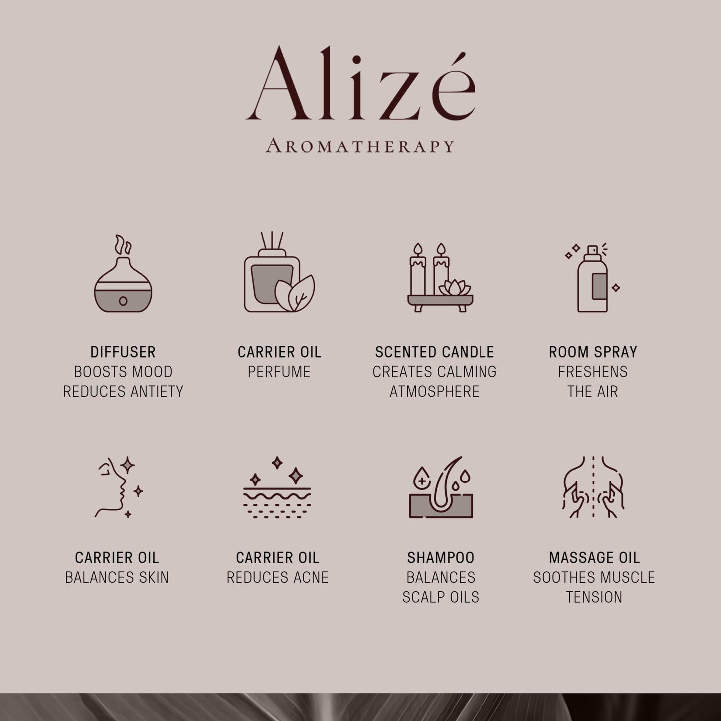 Alizé Bergamot Essential Oil – USDA Organic, 100% Pure & Natural, 10ml