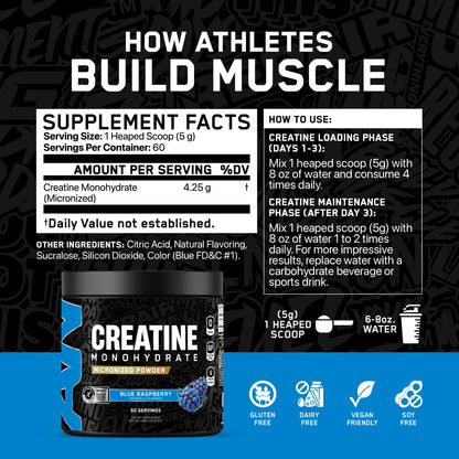 All Black Everything Creatine Monohydrate – 60 Servings (Blue Razz) – Gluten-Free & Keto Friendly