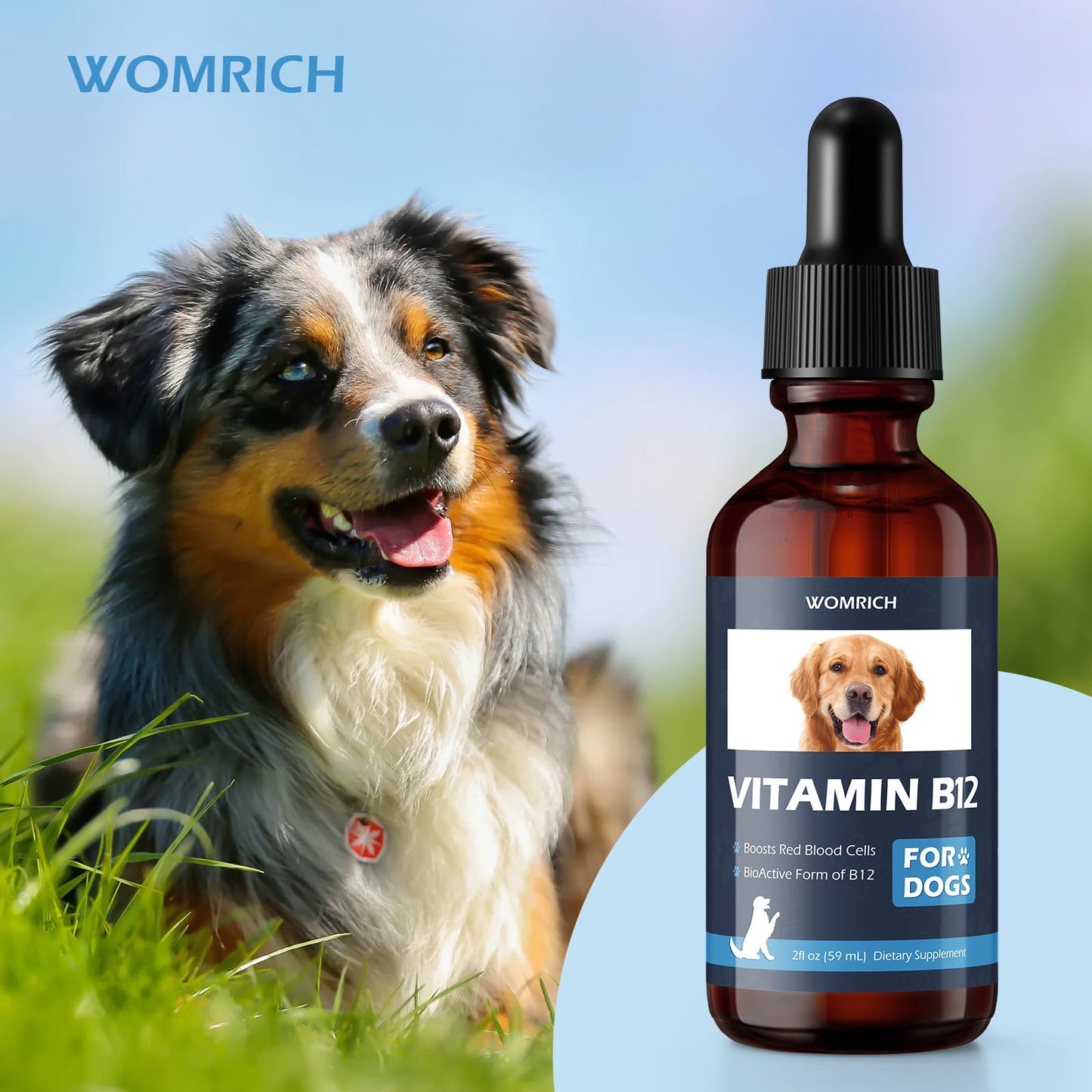 Appetite Stimulant Vitamin B12 for Dogs | Methylcobalamin (Methyl B12) 2 fl oz