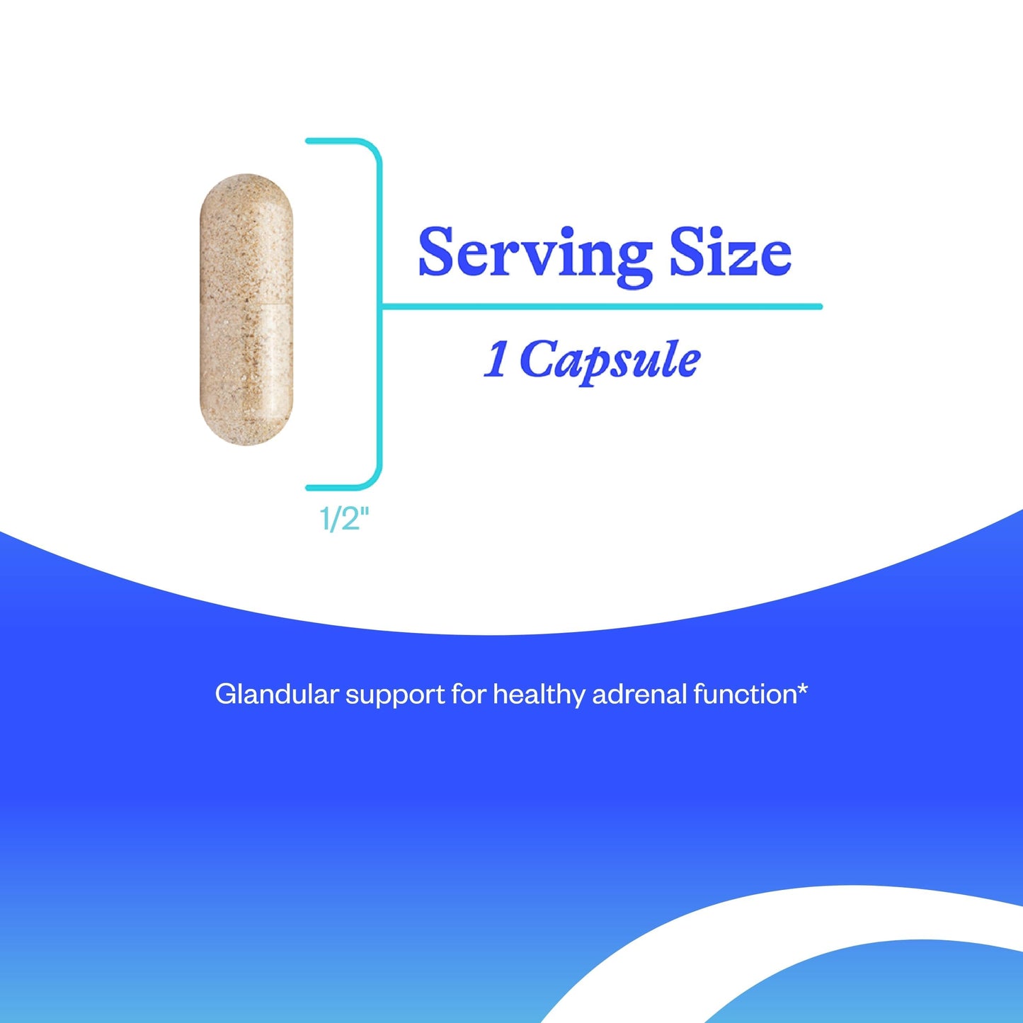 Seeking Health Adrenal Cortex — 50 mg Adrenal Support, 60 Caps | Gluten-Free & Dairy-Free