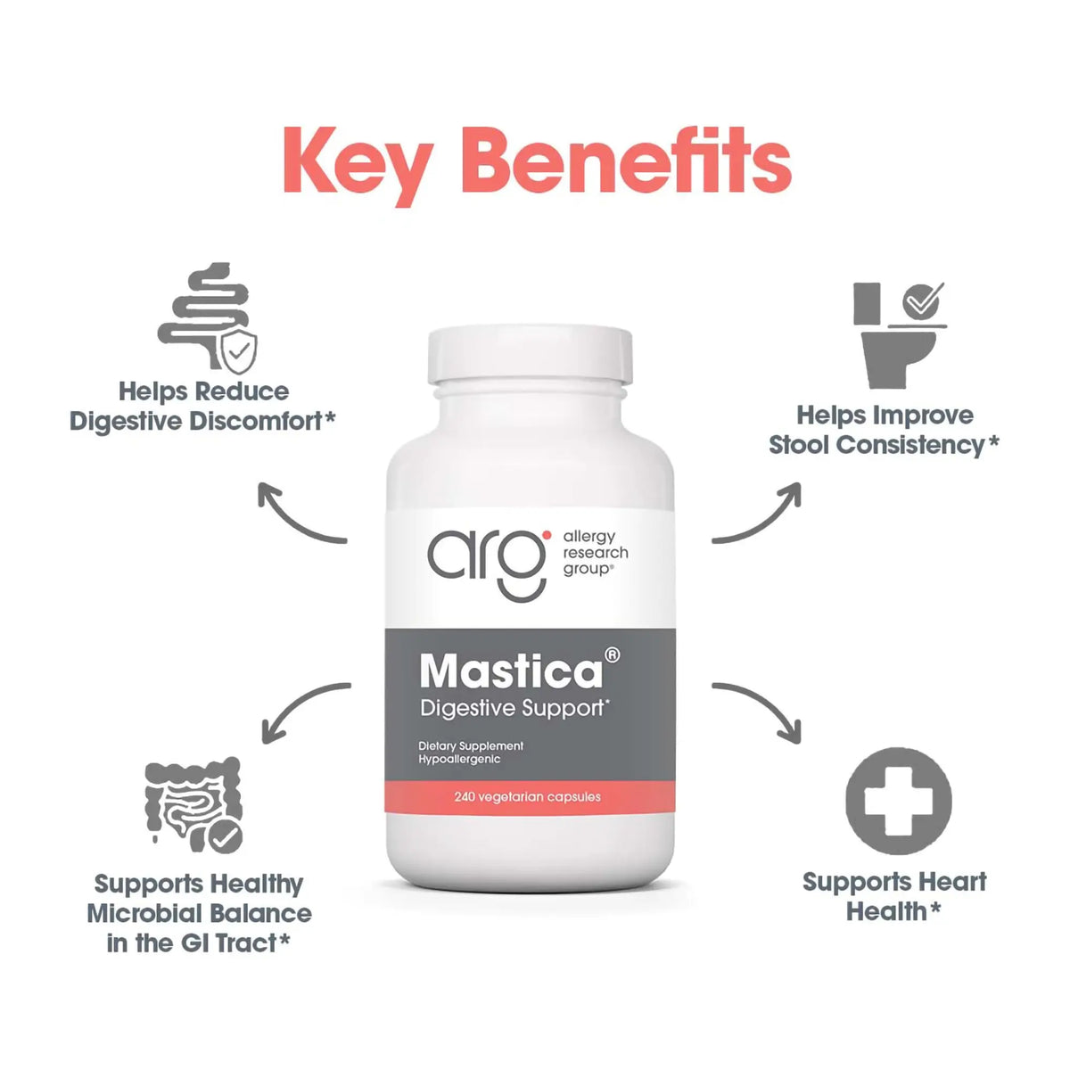 Allergy Research Group Mastica - Mastic Gum Capsules for Digestive Health - 240 Count BritishVita | Premium UK Vitamins & Wellness Supplements