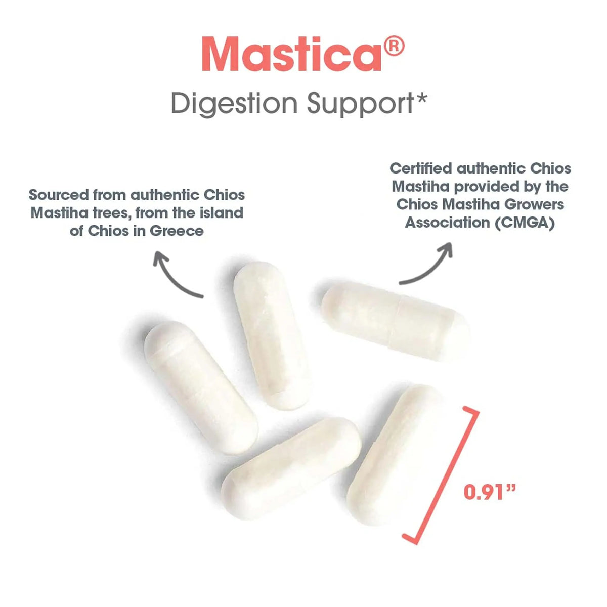 Allergy Research Group Mastica - 500 mg Mastic Gum Capsules for Digestive Support (120 Count) BritishVita | Premium UK Vitamins & Wellness Supplements