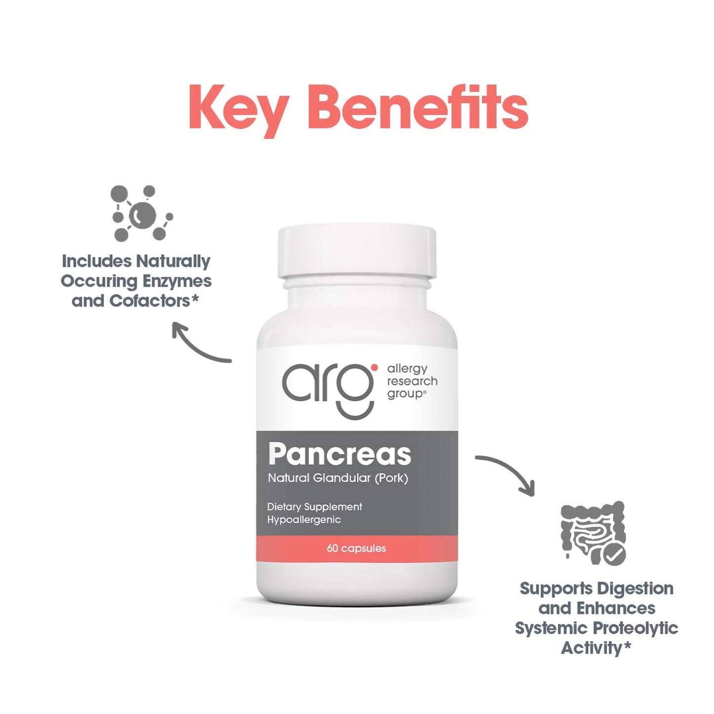 Allergy Research Group Pancreas Pork Supplement – Pancreas Glandular Enzymes, 425mg, 60 Count