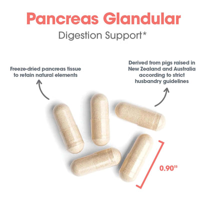 Allergy Research Group Pancreas Pork Supplement – Pancreas Glandular Enzymes, 425mg, 60 Count