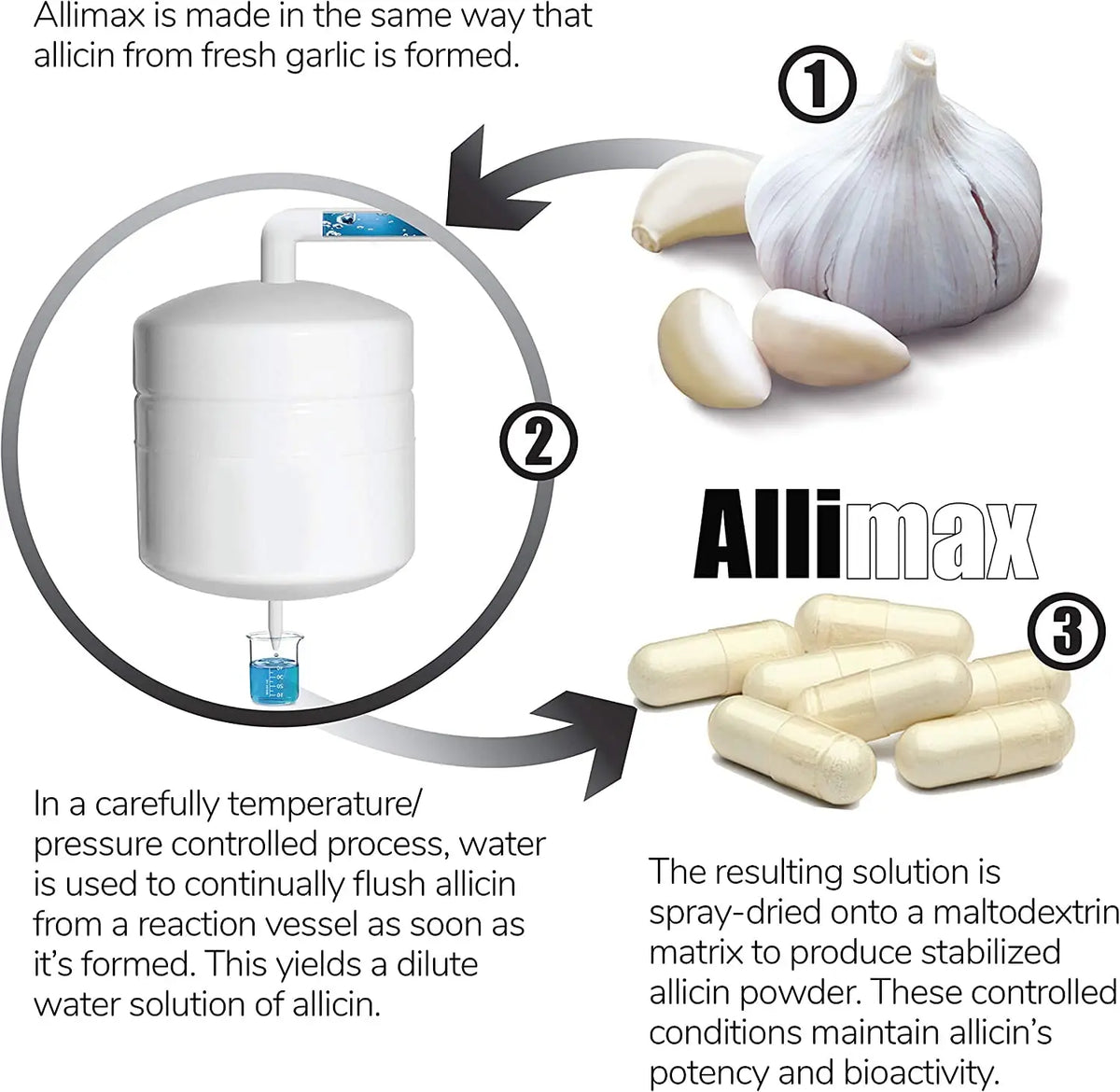 ALLIMAX 180mg 90 Capsules | Stabilized Allicin Garlic for Immune Support BritishVita | Premium UK Vitamins & Wellness Supplements