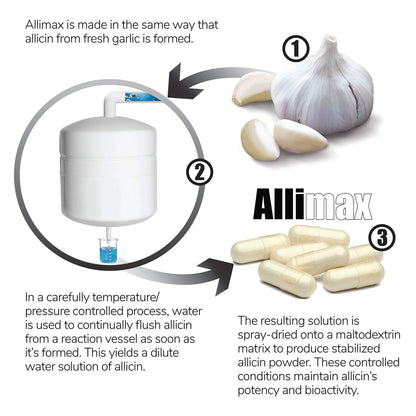 Allimax Pro Practitioner Strength 450 mg Allicin from Garlic | 100 Vegetarian Capsules BritishVita | Premium UK Vitamins & Wellness Supplements