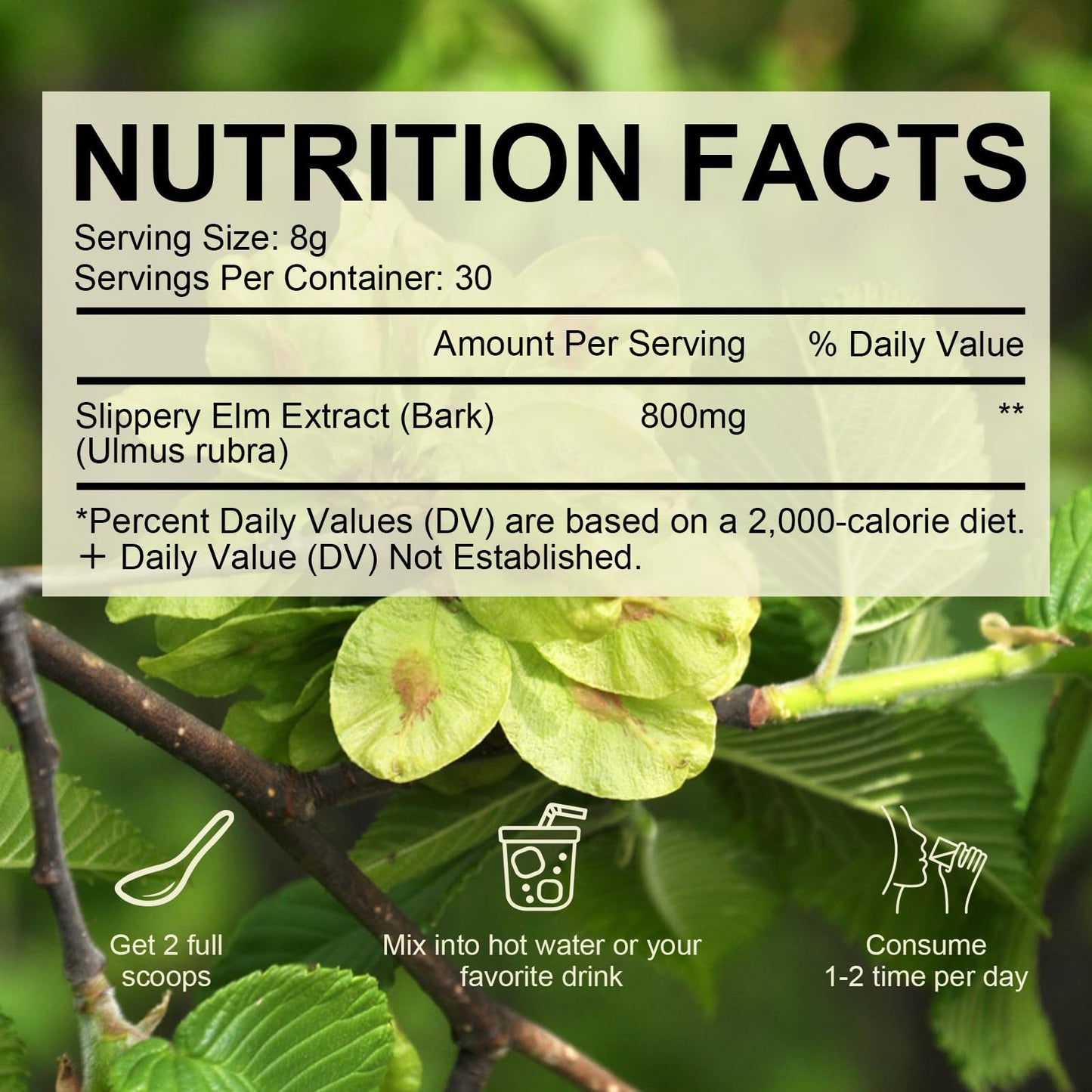 Alliwise Slippery Elm Bark Powder 240g | Digestive Support, Throat Soothing, Non-GMO, Gluten Free, Vegetarian Friendly