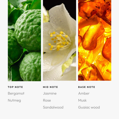 Allure 120mL | Luxury Scent Diffuser Oil for Hotels
