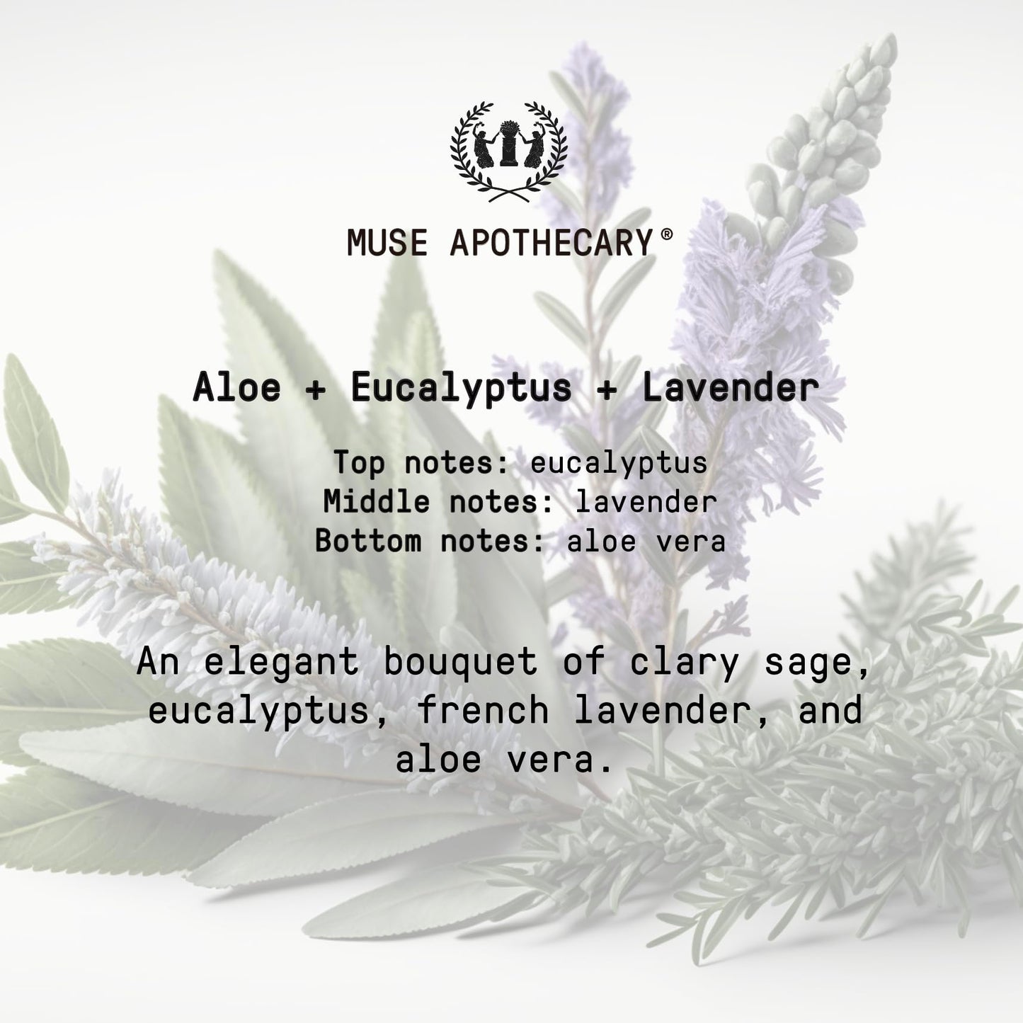 Muse Apothecary Room Ritual Room Mist - 4 oz - Aloe, Eucalyptus & Lavender