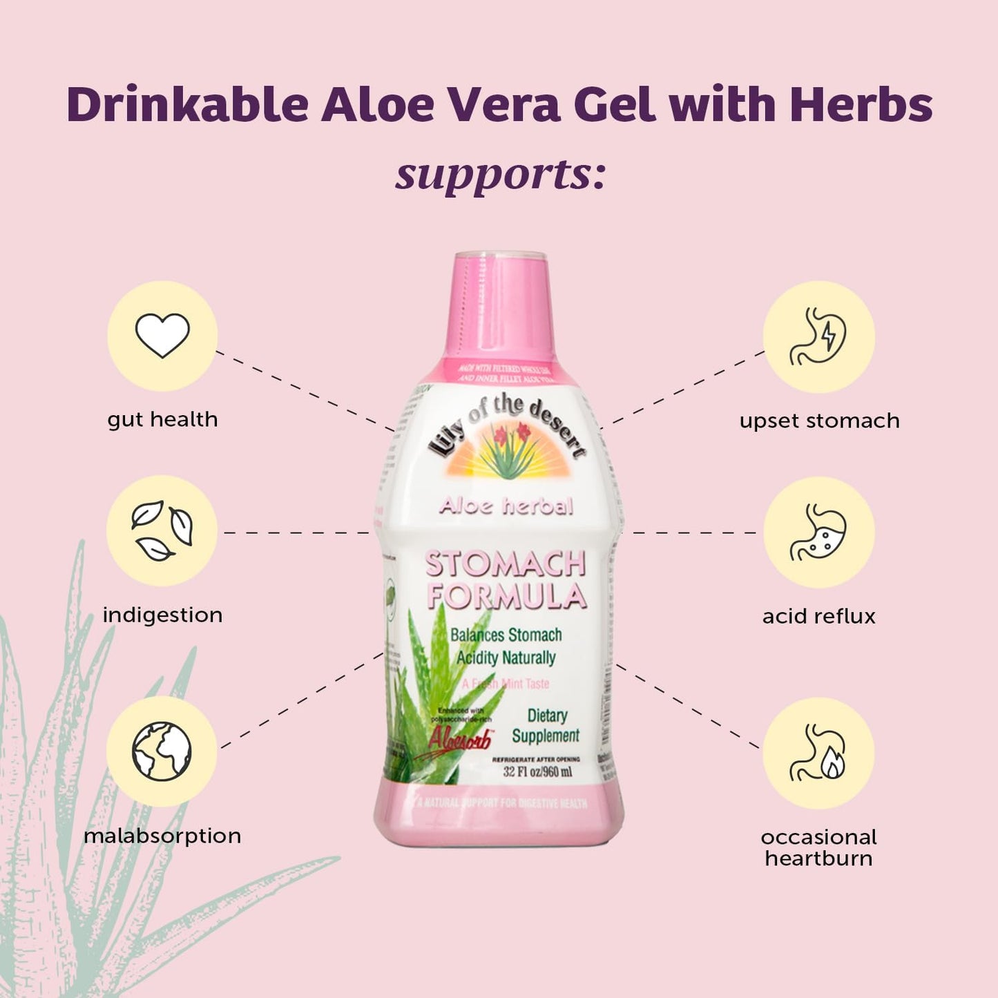 Lily of the Desert Aloe Vera Stomach Formula – Digestive Wellness, 32 oz