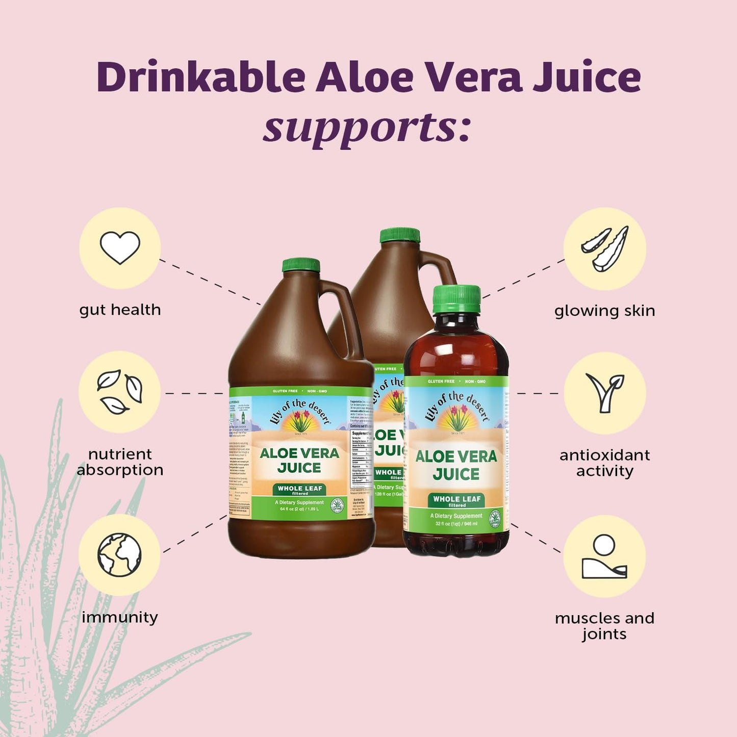 Lily of the Desert Aloe Vera Juice – Whole Leaf, Non-GMO Drink | Gut Health & Skin | 32 oz