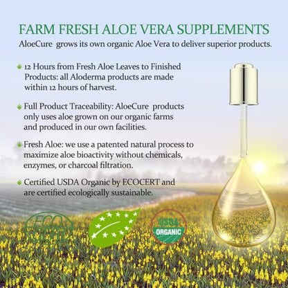 AloeCure USDA Organic Aloe Vera Juice - Grape Flavor, 16.7oz