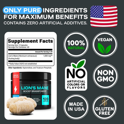 Lion’s Mane 1000mg Capsules – Organic Mushroom Complex with Alpha GPC | Vegan, Gluten-Free | Melena de León Orgánico 120 Capsules