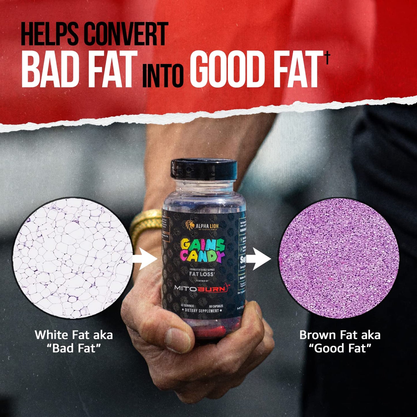 ALPHA LION Gains Candy MitoBurn – Weight Loss, Appetite Suppressant, Keto-Friendly, 60 Capsules