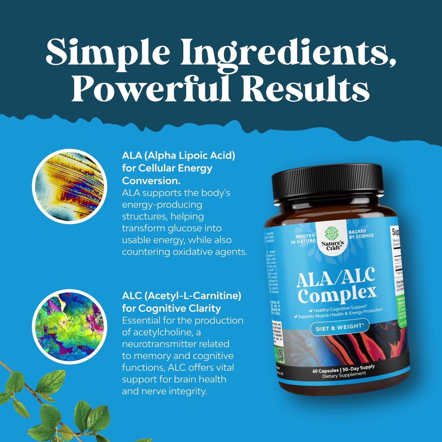 Alpha Lipoic Acid + Acetyl-L-Carnitine Supplement – Memory, Energy & Metabolism (60 Capsules)