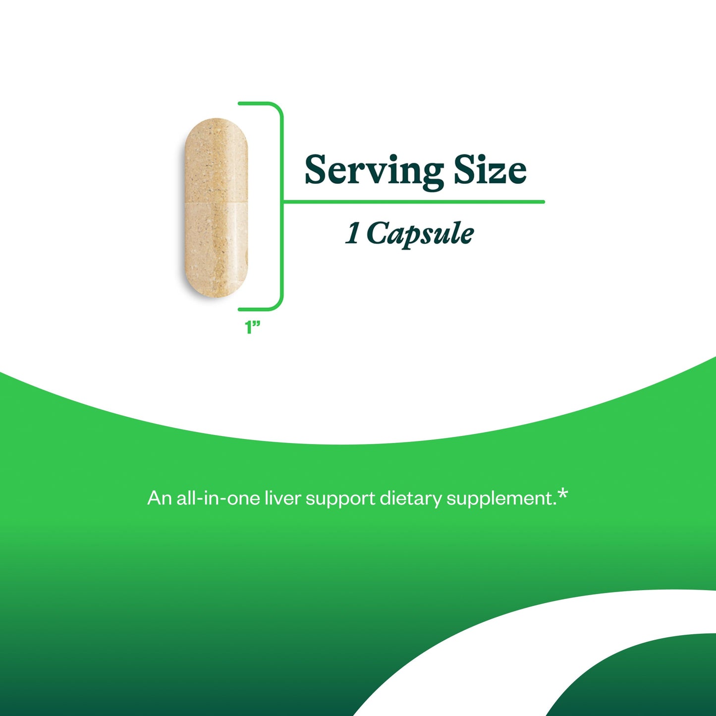 Seeking Health Liver Nutrients – Glutathione Support with Milk Thistle, Alpha-Lipoic Acid & NAC – 60 Capsules