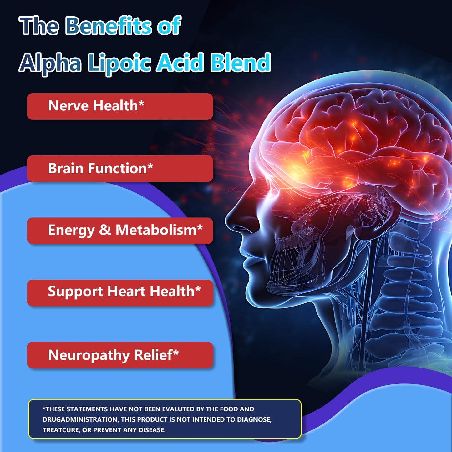 Alpha Lipoic Acid 1000mg Liquid Drops – 11-in-1 ALA with Acetyl-L-Carnitine & Benfotiamine