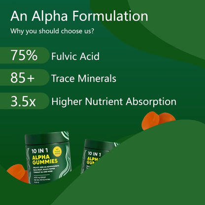 10 in 1 Alpha Shilajit Gummies – 4000mg for Energy & Immune Support | 60 Count