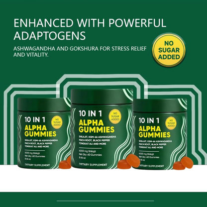 10 in 1 Alpha Shilajit Gummies – 4000mg for Energy & Immune Support | 60 Count
