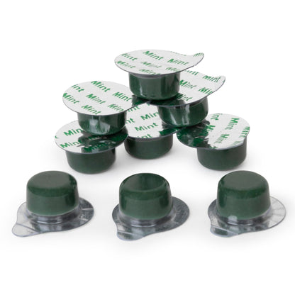 Alpine BLANC Tooth Polish Non Splatter Formula - Mint Flavored, Coarse Grit (Pack of 50)