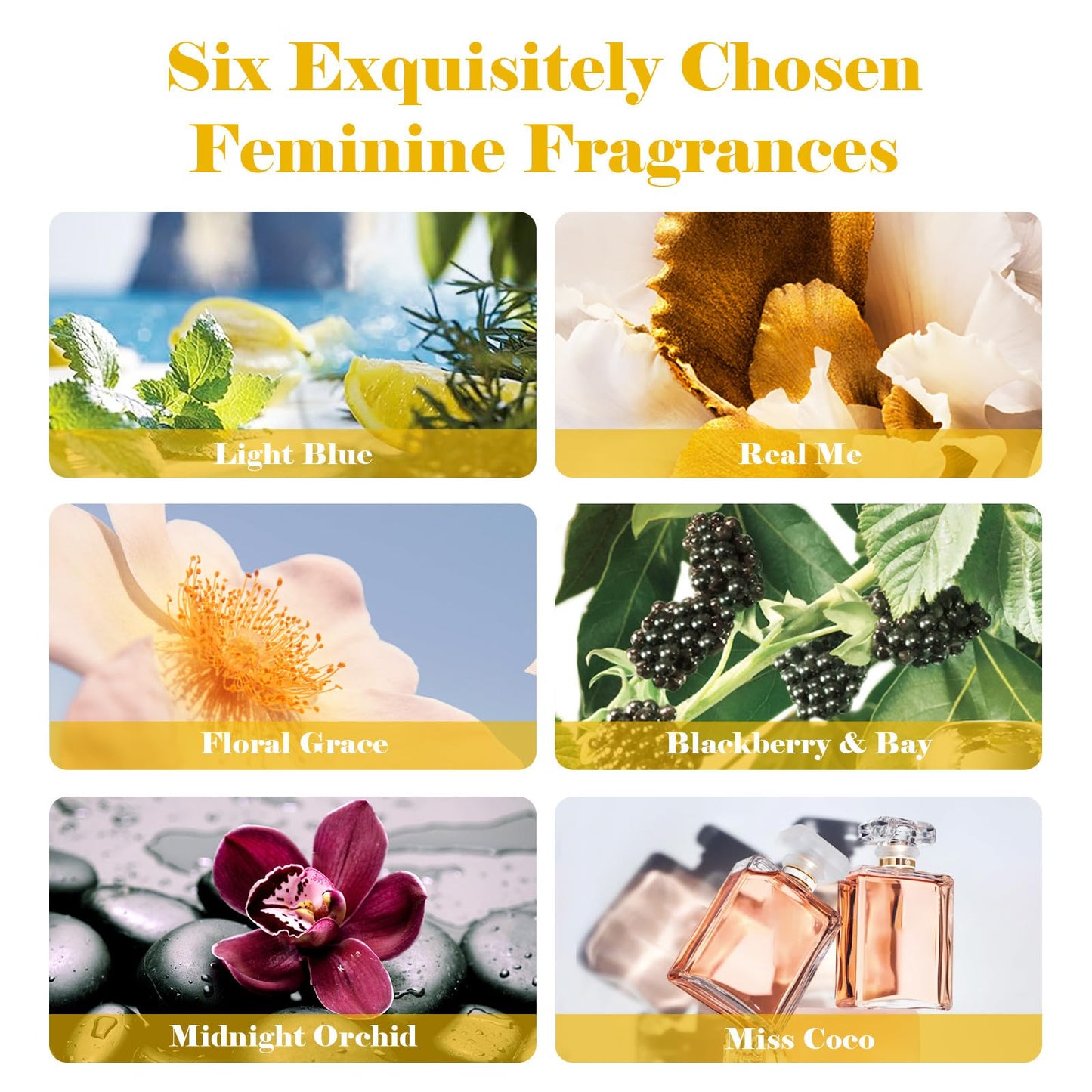 AmaKane Feminine Fragrance Oils – 6x10ml Set for Diffuser, Candle & Soap | Floral Grace, Miss Coco, Midnight Orchid & More