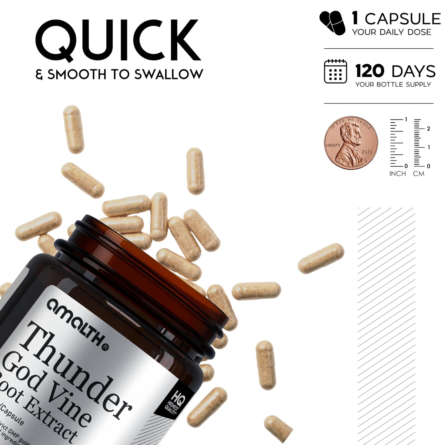 AMALTH Thunder God Vine Root Capsules – Tripterygium Wilfordii Extract, 120 Capsules