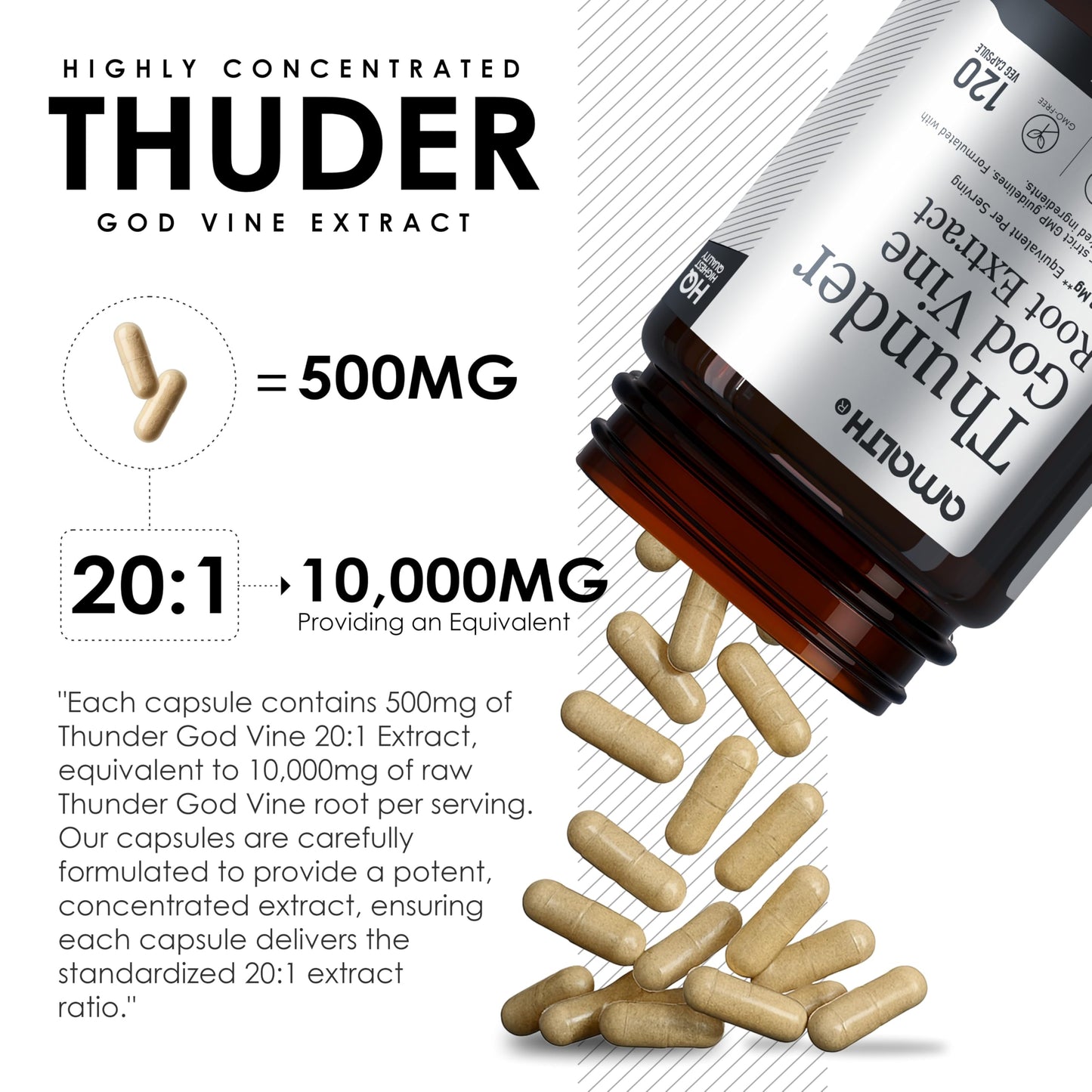 AMALTH Thunder God Vine Root Capsules – Tripterygium Wilfordii Extract, 120 Capsules