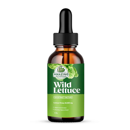 Amazing Botanicals Alcohol-Free Wild Lettuce Tincture 30,000 mg | 4 oz Bulk