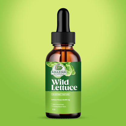 Amazing Botanicals Alcohol-Free Wild Lettuce Tincture 30,000 mg | 4 oz Bulk