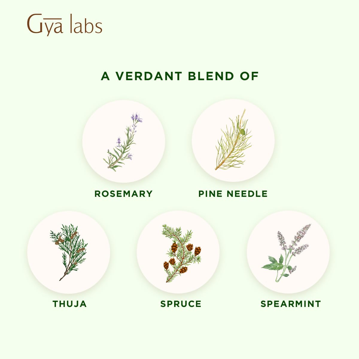 Gya Labs Frosty Forest Essential Oil Blend - Revitalizing & Invigorating (0.34 Fl Oz)