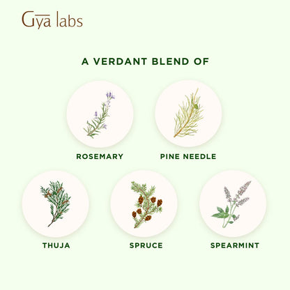Gya Labs Frosty Forest Essential Oil Blend - Revitalizing & Invigorating (0.34 Fl Oz)
