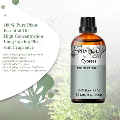 Cypress Essential Oil 30ml | PHATOIL Pure Essential Oil Singles for Aromatherapy Diffusers