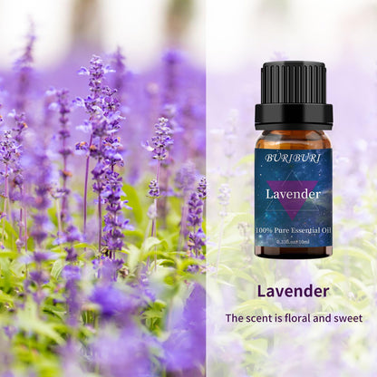 Lavender & Jasmine Essential Oils Gift Set – 10ml x 2 | 100% Pure