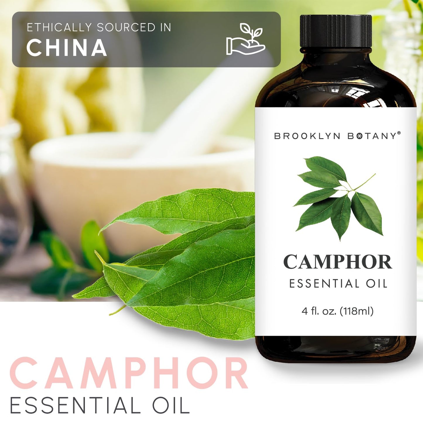 Brooklyn Botany Camphor Essential Oil - 4 oz | 100% Pure & Natural