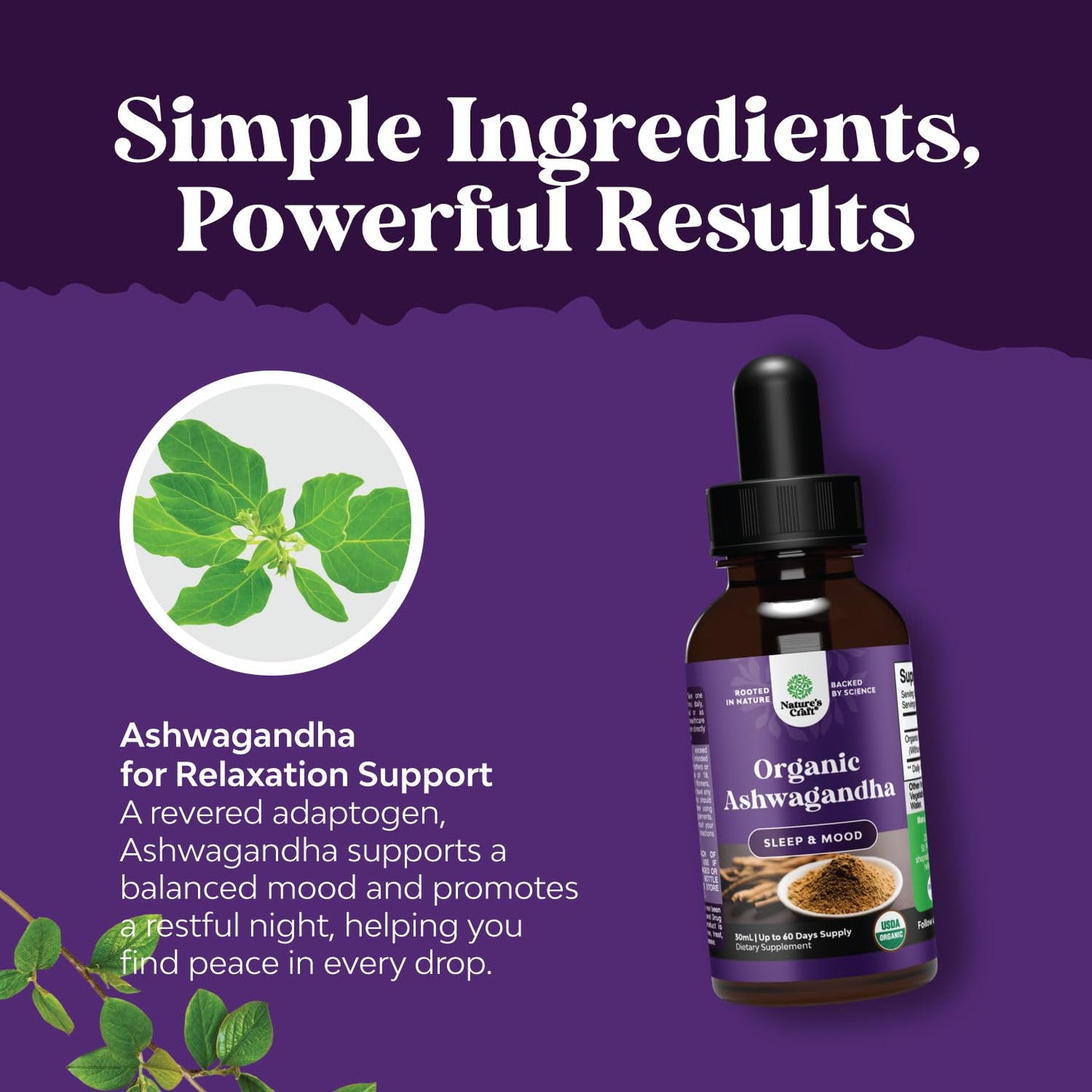 USDA Organic Ashwagandha Liquid Drops - Stress & Mood Support (Alcohol-Free, 30 ml)