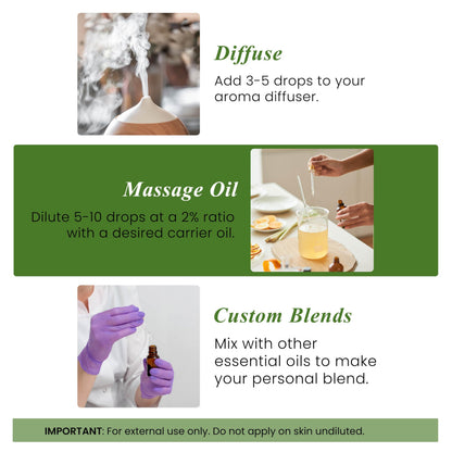 Handcraft Blends Bergamot Essential Oil – 1 oz | 100% Pure & Natural