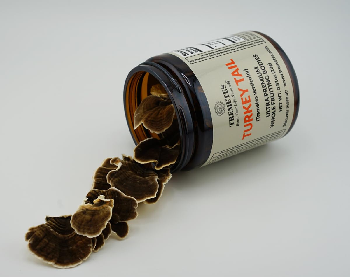 Turkey Tail Mushroom Fruiting Body – Lab-Verified 41.2% Beta-Glucans for Tea | Amber Glass Jar
