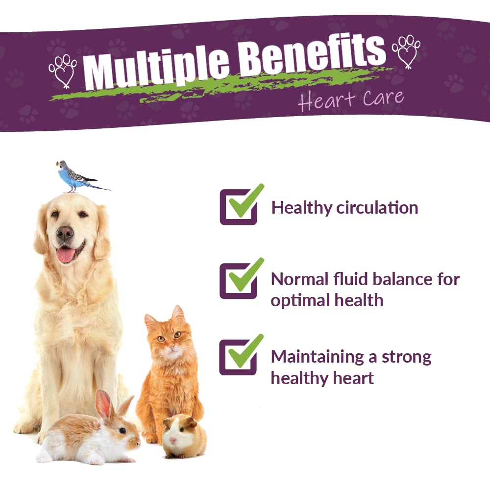 Amber NaturalZ Hawthorn & Dandelion Herbal Supplement for Pets | Heart Health & Circulation