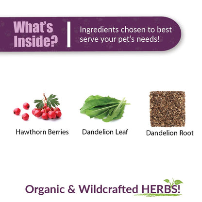 Amber NaturalZ Hawthorn & Dandelion Herbal Supplement for Pets | Heart Health & Circulation