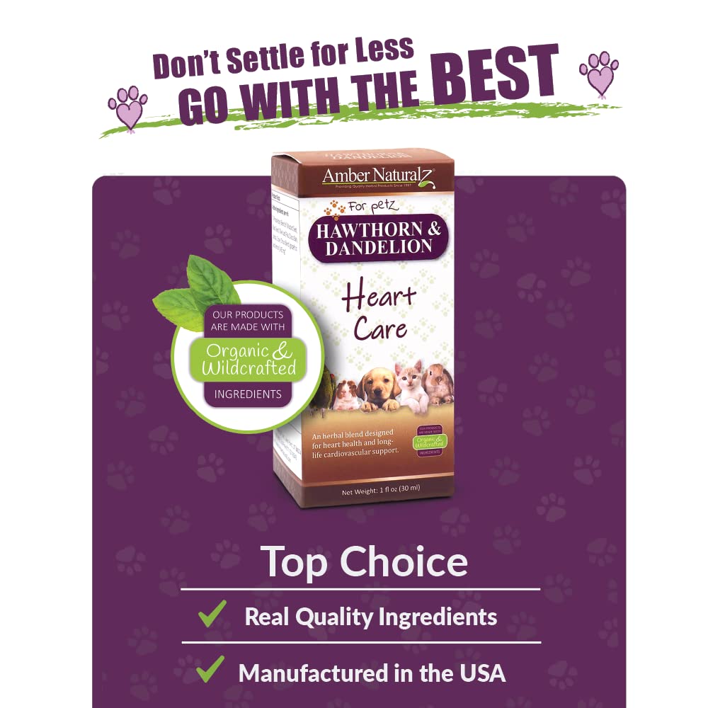 Amber NaturalZ Hawthorn & Dandelion Herbal Supplement for Pets | Heart Health & Circulation
