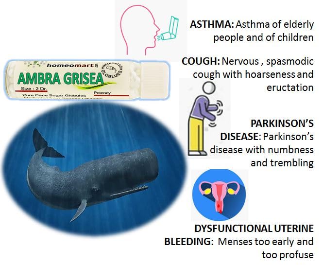 Ambra Grisea Homeopathy Pellets 30C – Pack of 3 | HomeoMart