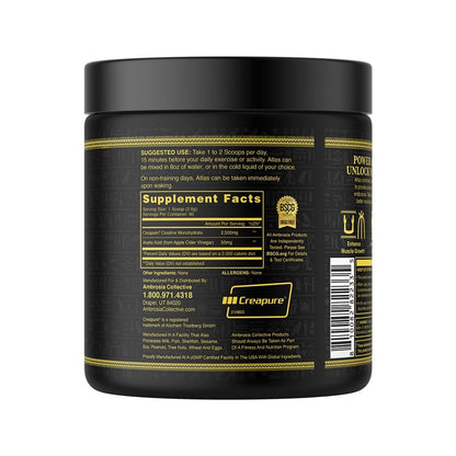 Ambrosia Atlas: Performance Creatine Creapure + Acetic Acid – 30 Servings
