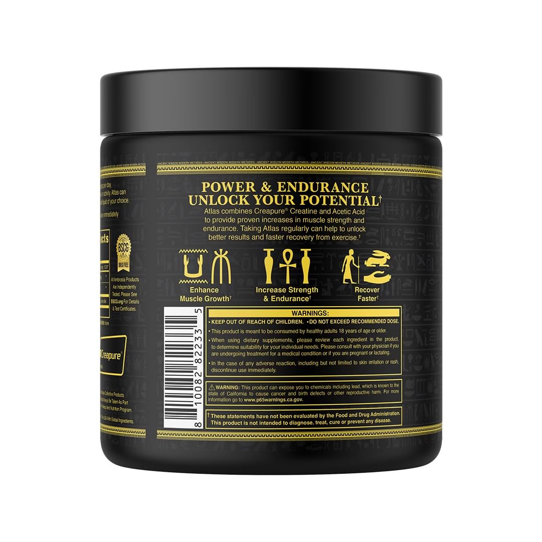 Ambrosia Atlas: Performance Creatine Creapure + Acetic Acid – 30 Servings