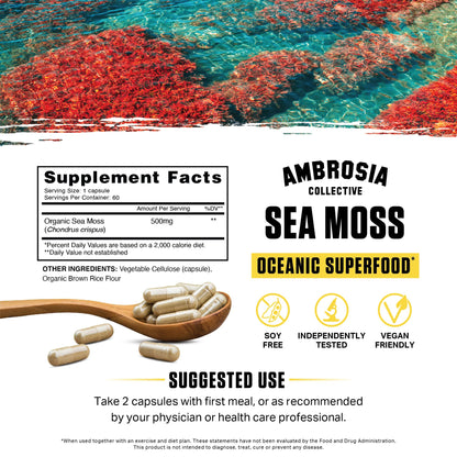 Ambrosia Irish Sea Moss Capsules – 500 mg High Dose | Organic Sea Moss Veggie
