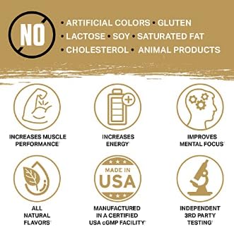 Ambrosia Kinetic - Organic Pre Workout Powder | Tropical Lime | Mushroom-Enhanced Nootropic Formula | 24 Servings