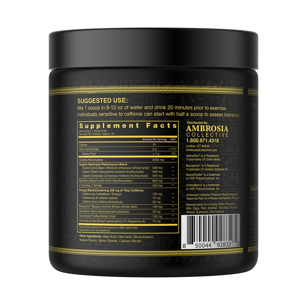 Ambrosia Kinetic - Organic Pre Workout Powder | Tropical Lime | Mushroom-Enhanced Nootropic Formula | 24 Servings
