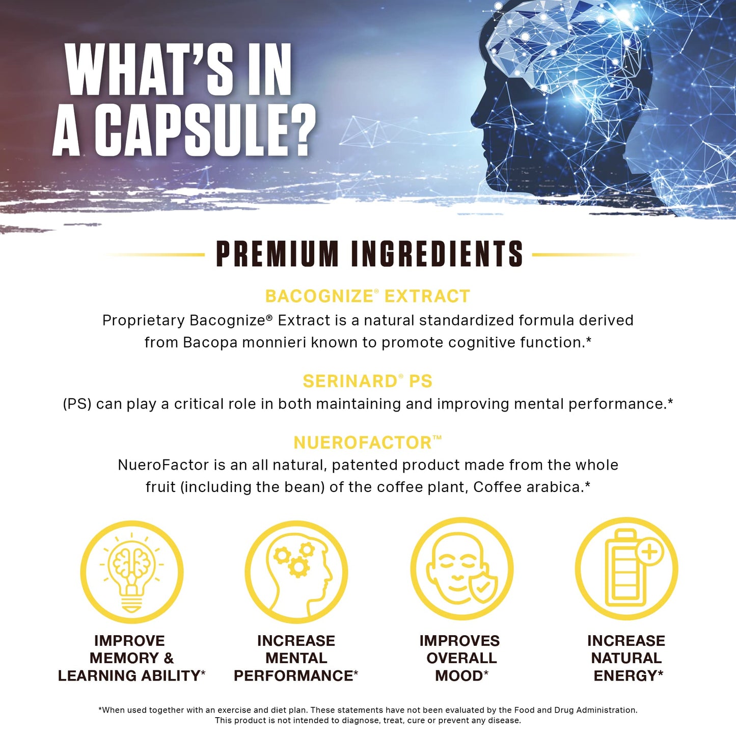 Ambrosia Mental Jewels (Capsules) – Cognitive Enhancer | 120 Veggie Capsules