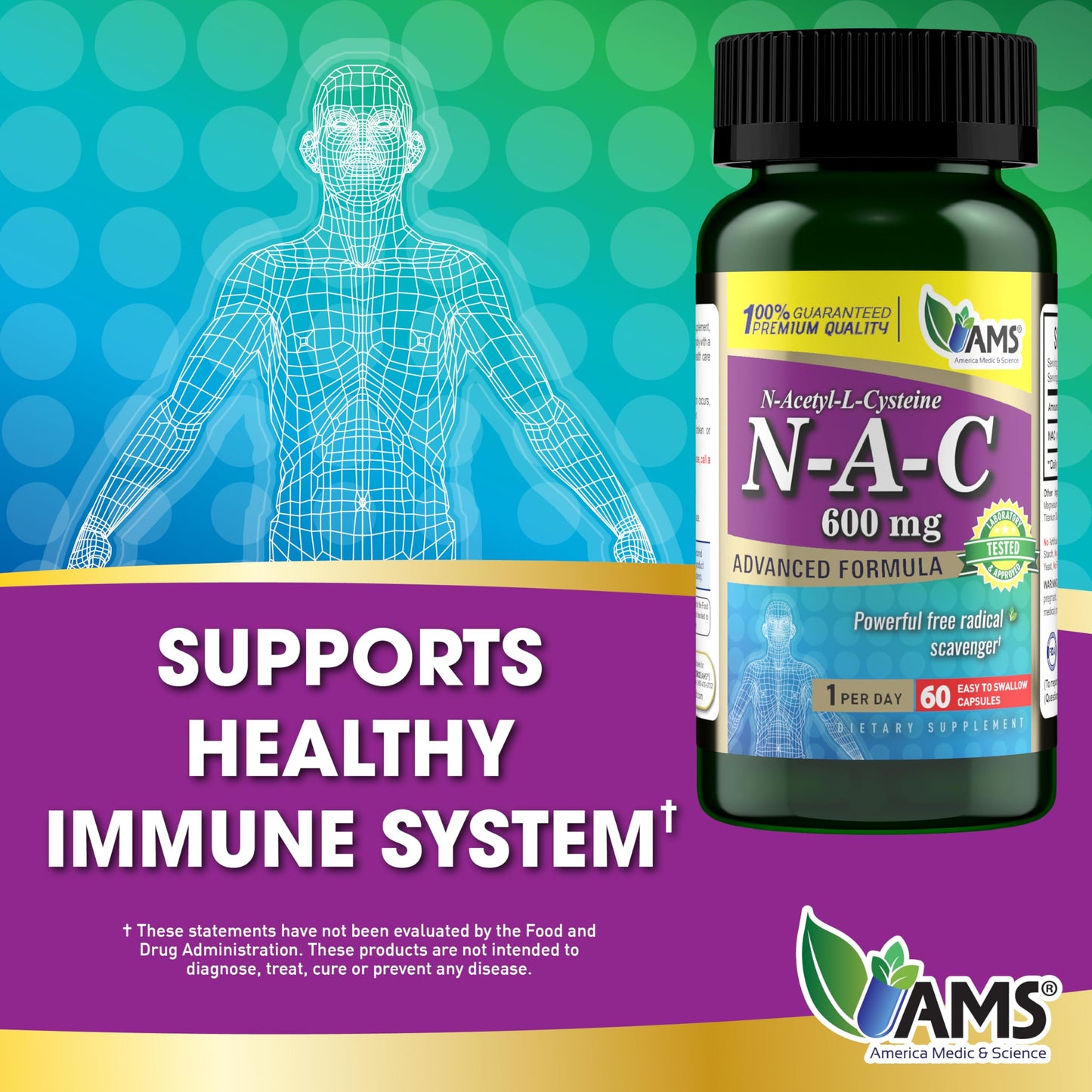 America Medic & Science NAC 600mg – NAC Supplement for Lung Health & Immune Support, Liver Support | 60 Capsules (Pack of 2)